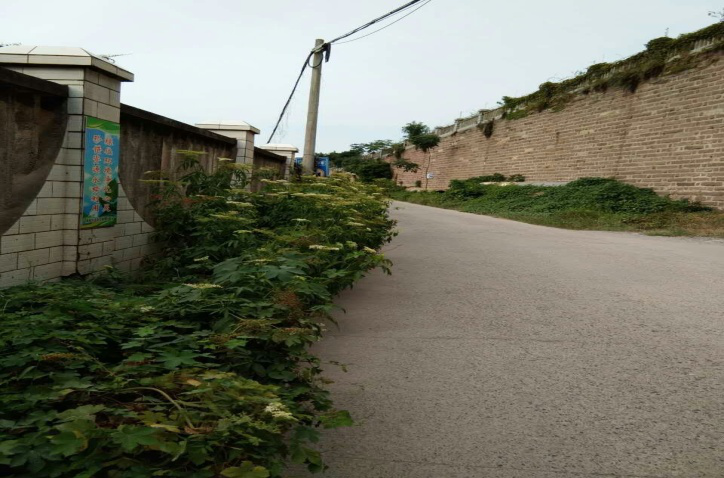 除草刷墻灑汗水，苗圃外貌換新顏