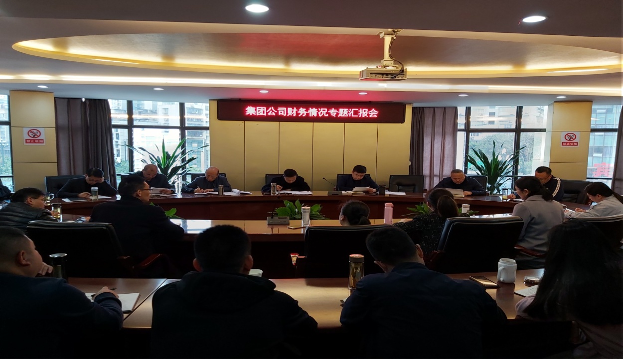 集團公司召開財務(wù)情況專題匯報會