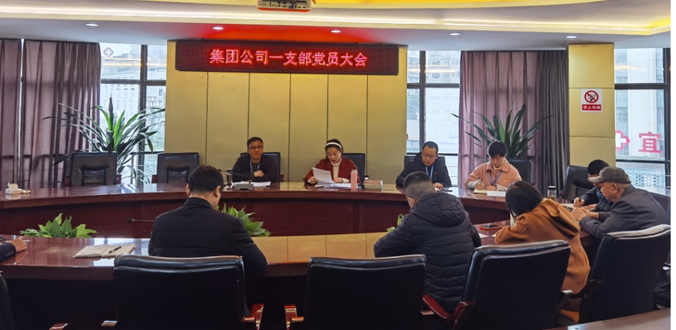 集團(tuán)公司一支部召開黨員大會