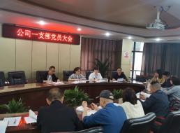 公司一支部開展 “學黨史、強信念、知黨恩、跟黨走” 黨史讀書交流會主題黨日活動