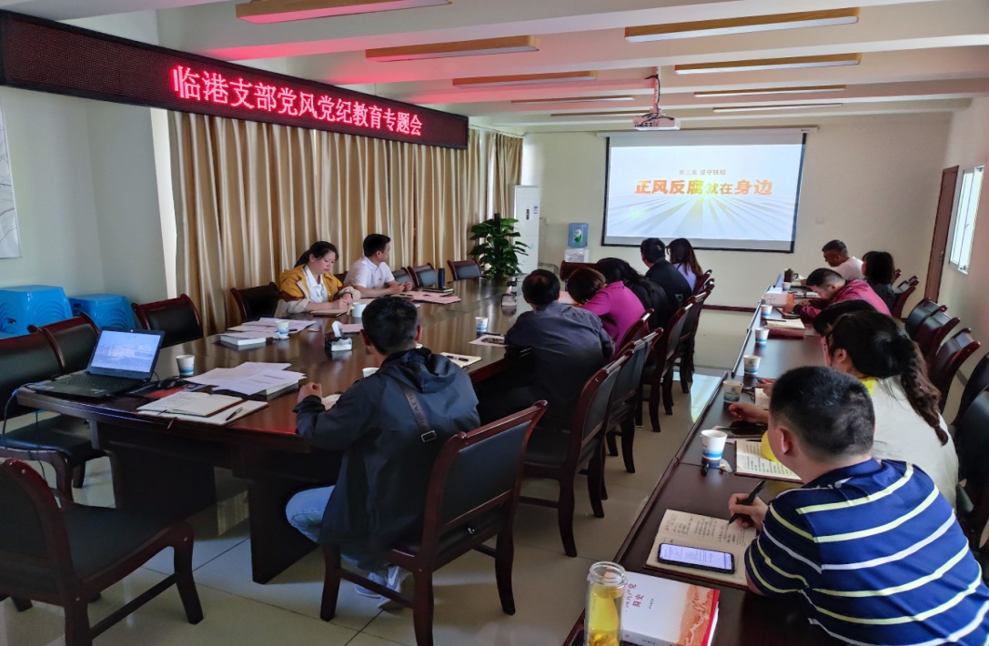 臨港支部召開(kāi)4月份支部黨員大會(huì)