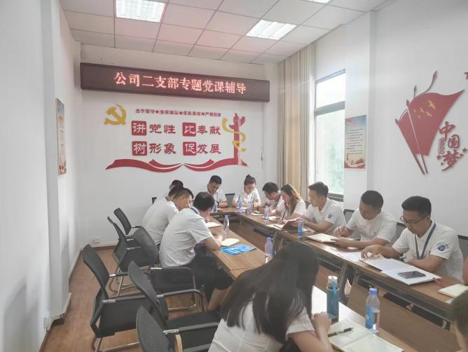 公司二支部開(kāi)展“齊力共進(jìn)、強(qiáng)企有我” 主題黨日活動(dòng)